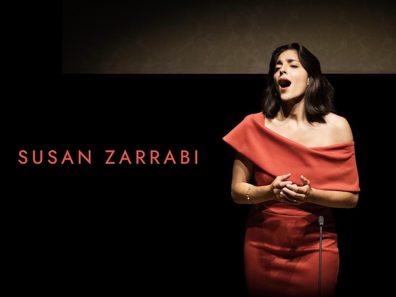 Example Susan Zarrabi